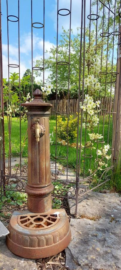 Au Coquelicot : Gite Cosy Pour 8 Pers. Avec Jardin Ath Eksteriør bilde
